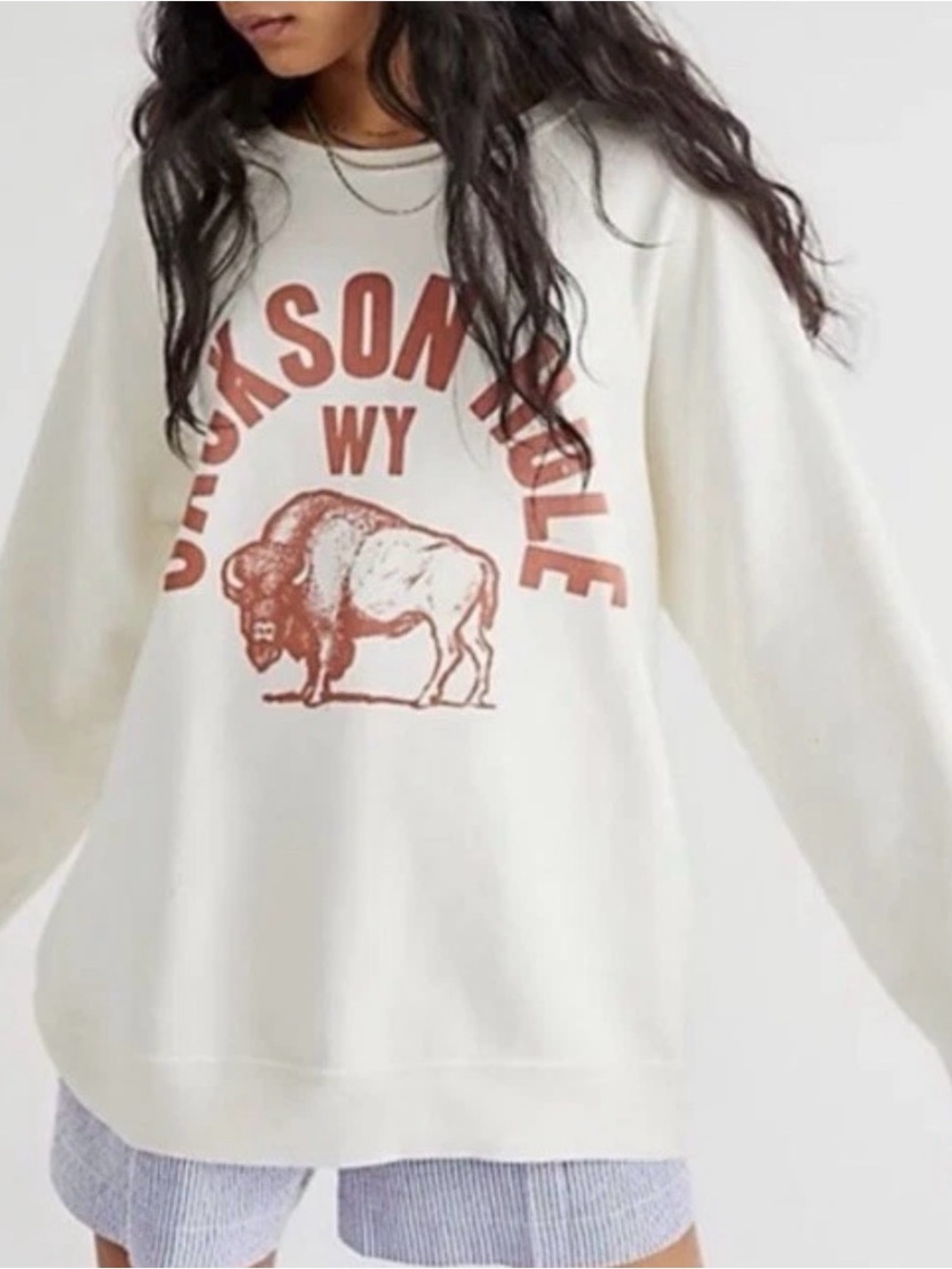 Retro Brand Jackson Hole Cream Sweatshirt Size M